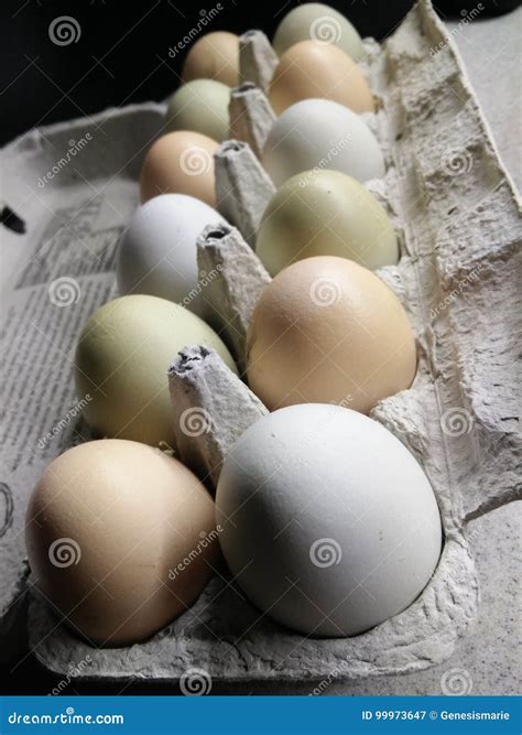 One Dozen Backyard Chicken Eggs Stock Image - Image of organic, hobby: 99973647