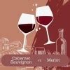 Cabernet Sauvignon Food Pairing | Vino Critic