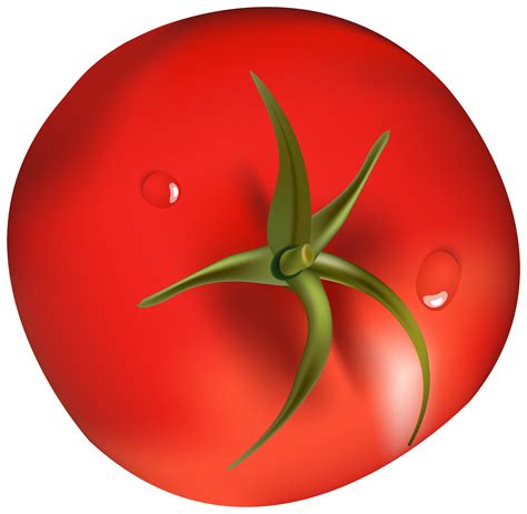 tomato clipart png 10 free Cliparts | Download images on Clipground 2024