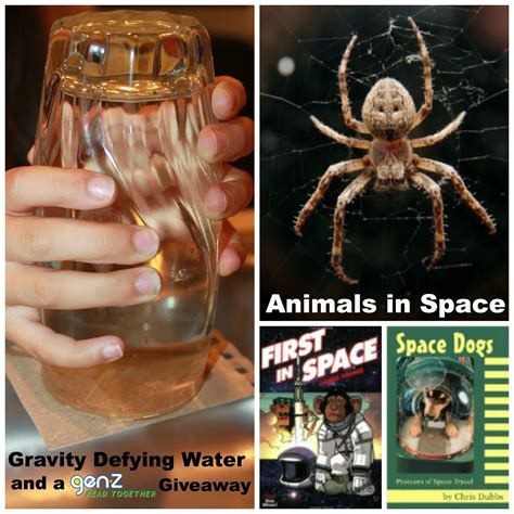 Water experiments for kids, Water experiments, Science for kids