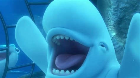 Finding Dory: Kate Rodger seeks her inner beluga whale | Newshub