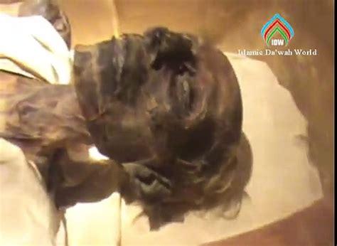 Firon-Mummy--in-Egypt-Museum || Must Watch Video - video Dailymotion