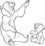 Brother Bear Coloring Pages  Best For Kids sketch template