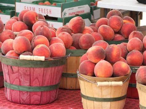 Places to purchase peaches in South Carolina, roadside stands and farms ...