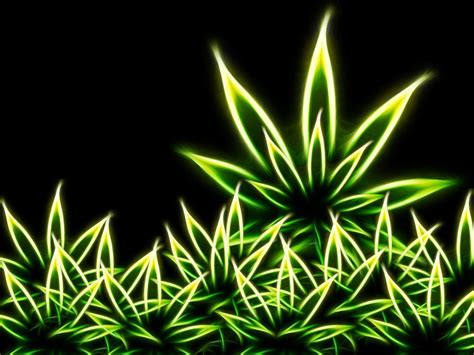 Weed Wallpapers Desktop - Wallpaper Cave