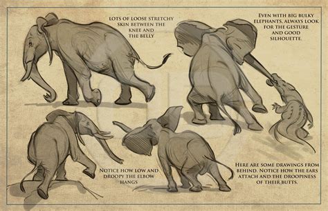 Tembo - How to draw elephants packet I created for the crew. | The Art of Aaron Blaise Animal ...