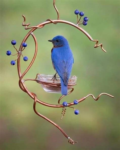 Pin by Arash Photo_collects on Birds !Animals! | Bird feeders, Garden art, Yard art