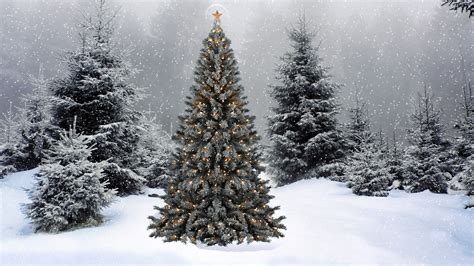 Snow falling on the Christmas tree wallpaper - Holiday wallpapers - #50819