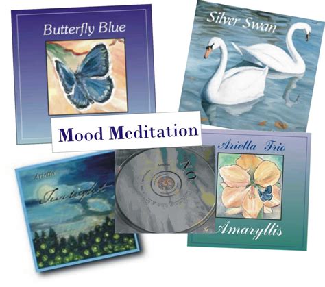 Meditation Music - Transform To Triumph