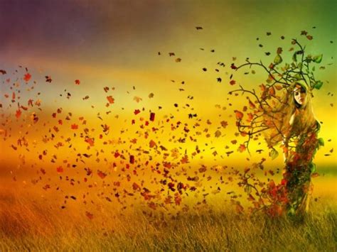 Autumnal Equinox 2021: The First Day of Fall | Autumn magic, Autumnal equinox, Mabon