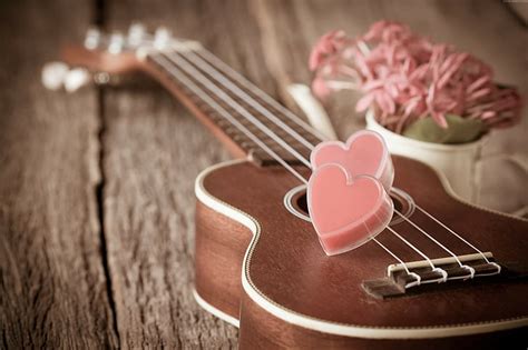 HD wallpaper: romantic, flowers, heart, love, Valentines Day, guitar | Wallpaper Flare