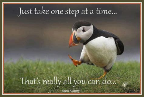 Musings from my Heart : GOOD MORNING AND TAKE ONE STEP AT A TIME