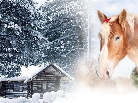 Christmas Horse Wallpapers - Top Free Christmas Horse Backgrounds ...