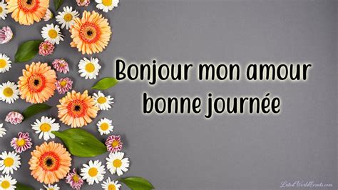 Good morning quotes in french| Good morning messages in french – Latest World Events