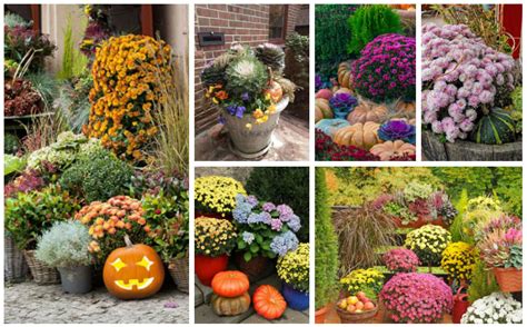 27 Spectacular Fall Gardening Ideas - Garden Lovers Club