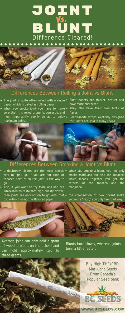 Joint vs Blunt Difference Cleared! | Rolling joint, Joints and blunts, Joint