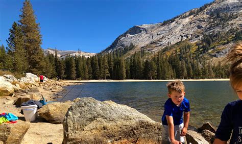 Tenaya Lake | Mariposa County | Yosemite National Park