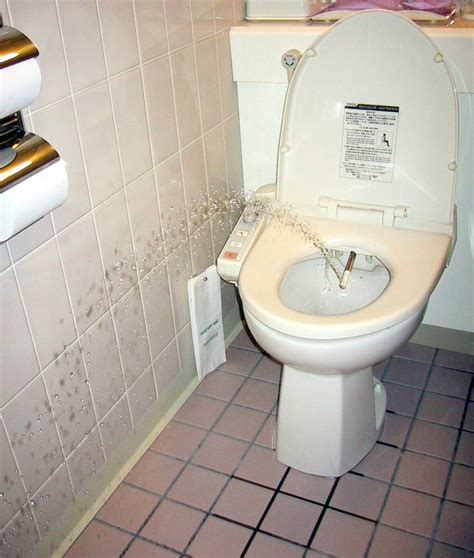 Toiletten in Japan – Wikipedia