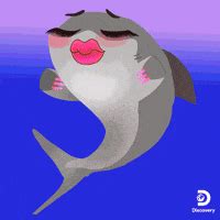 Shark Gif