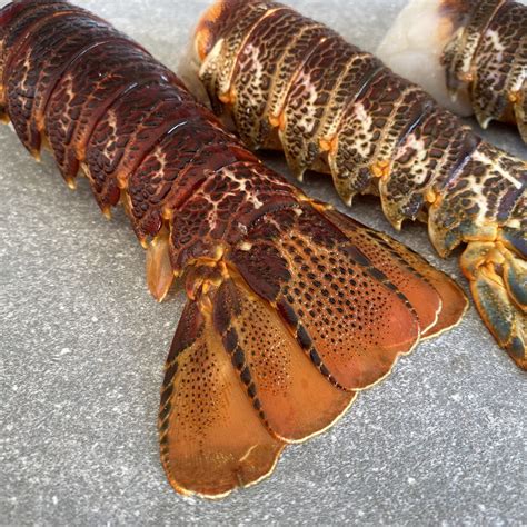 Shop Crayfish Online - Fresh Cray Fish Cape Town - Green Fish – Greenfish