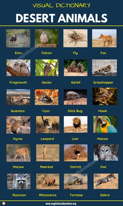 Desert Animals: List of 60+ Animals That Live in the Desert with Examples - English Study Online