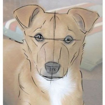 Best dogs drawing tutorial realistic 67+ ideas | Dog drawing tutorial, Dog drawing, Dog portraits