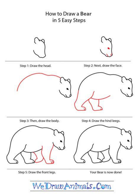 How To Draw Easy Animals Step By Step Image Guide