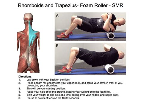 Rhomboids and trapezius SMR Exercise | Roller exercises, Foam roller, Neck exercises