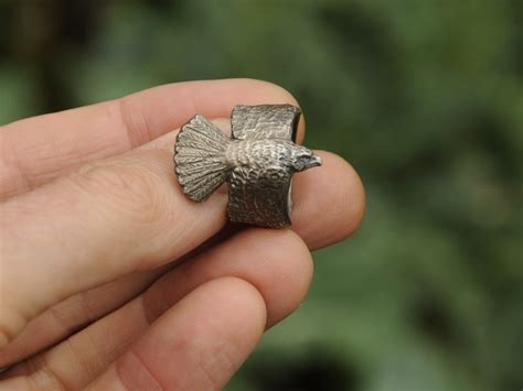 Kahu / Hawk Ring - AB Sculpture