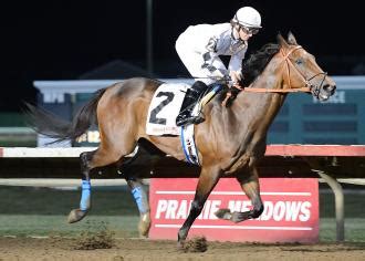 Zia Park: Alsvid giving weight to older horses in Premiere Cup