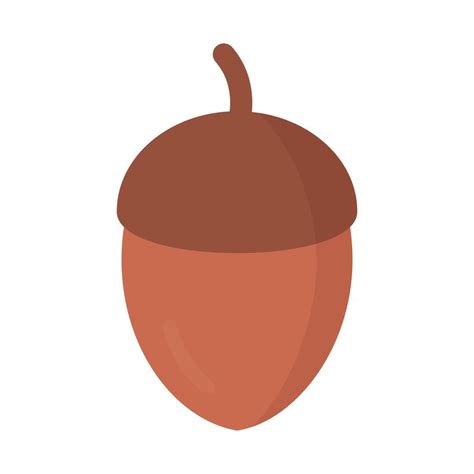 flat illustration of acorn 12870485 Vector Art at Vecteezy