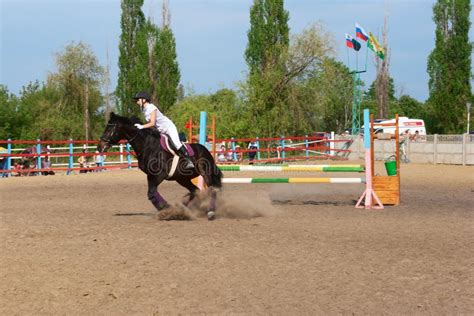 Horse Riding Competition editorial stock image. Image of sport - 69783884