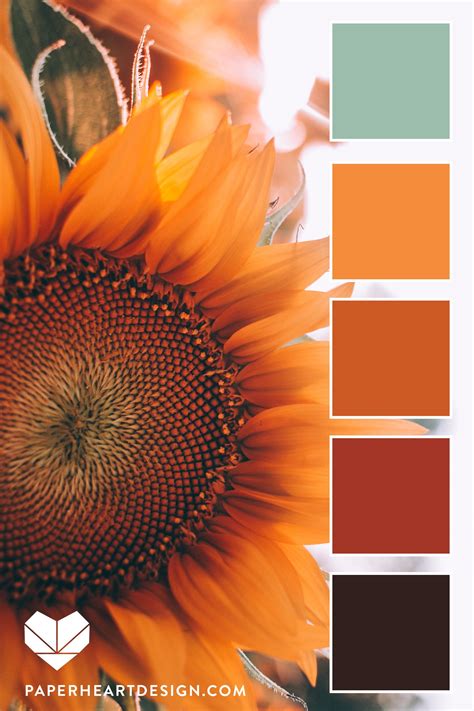 Color Schemes Colour Palettes, Fall Color Palette, Colour Pallette, Color Palate, Color Combos ...