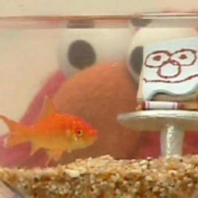 Elmo’s goldfish Dorothy (@DorothyElmo) | Twitter