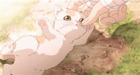 Cat Anime GIF - Cat Anime Pet - Discover & Share GIFs