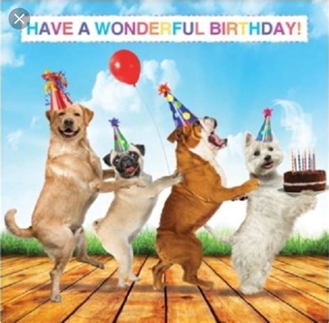 Pin by Judy Quinn on Birthday Greetings | Happy birthday dog meme ...