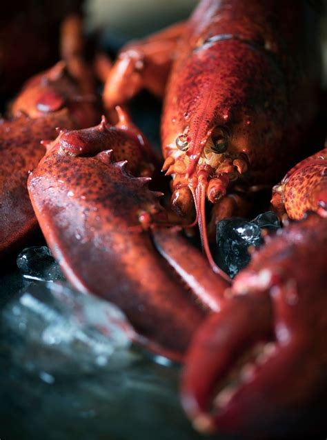 Cooked lobster food photography recipe | Photo - rawpixel