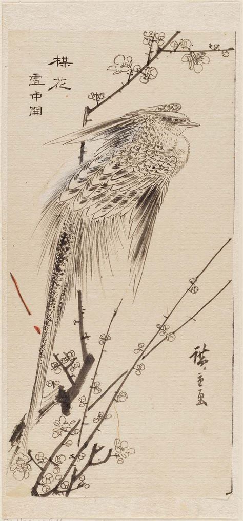 Golden Pheasant on Plum Branch 梅に錦鶏 Japanese Edo period Artist Utagawa Hiroshige I | Golden ...