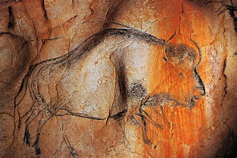 La Grotte Chauvet Cave Paintings France, Stone Age Cave Paintings ...