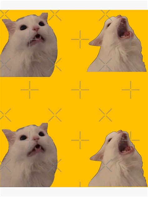 "White Cat Screaming Meme Pack" Poster for Sale by redakhatib | Redbubble