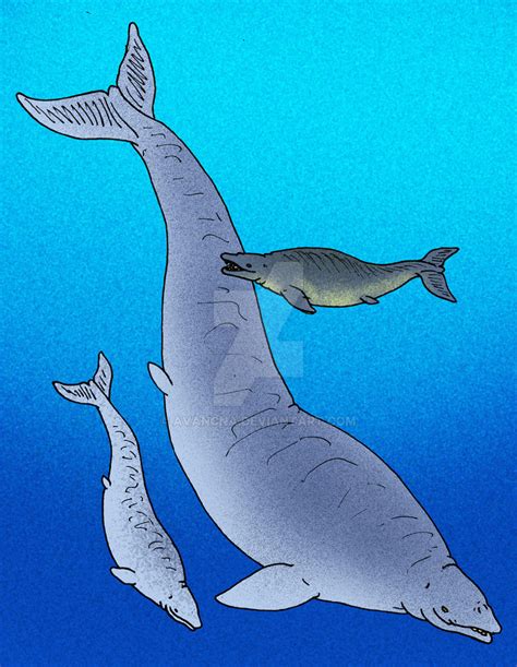 Basilosaurus cetoides by avancna on DeviantArt