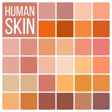 Skin Human Vector Various Body Tones Chart Realistic - vrogue.co