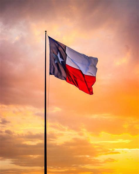 Top 999+ Texas Flag Wallpaper Full HD, 4K Free to Use