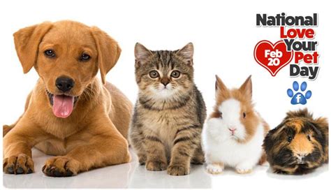 Recognizing our pets on National Love Your Pet Day, February 20, 2020 ...