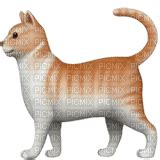 Orange cat emoji, orange , cat , emoji , kitty , gato , katze , tabby ...