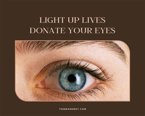 741+ Creative Eye Donation Slogans (Generator + Guide ) - Thebrandboy.com