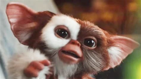 Gremlins : Gremlins Handpuppe Gizmo Sonstiges Merchandise Jetzt Im Shop Bestellen Close Up Gmbh ...