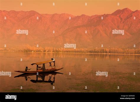 Sunset Dal Lake in Srinagar, Kashmir, India Stock Photo - Alamy