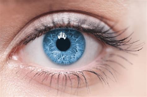 2,238,108 Blue Eyes Royalty-Free Images, Stock Photos & Pictures | Shutterstock