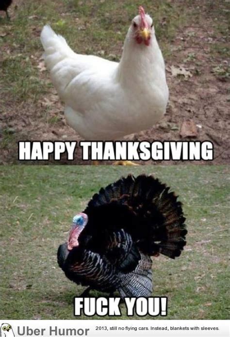 Daily Afternoon Chaos (40 Pictures) | uberHumor.com | Funny thanksgiving memes, Funny ...